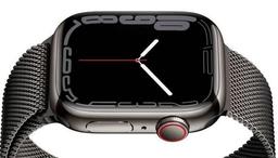 Apple Watch Series 7 (Cellular + GPS) - 32GB - 41mm - Graphite Stainless Steel Case with Graphite Stainless Steel Milanese Loop Band