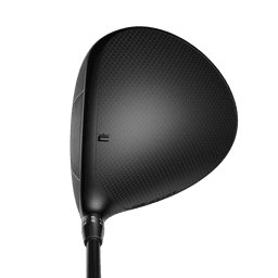 Cobra DS ADAPT LS Driver - Golf Club - 9° Loft - Stiff Flex - Fujikura Pro Black 60 Shaft - Men